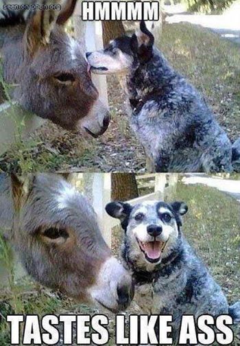 punfound's tweet image. Taste like ass #puns