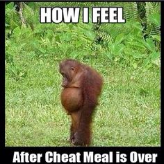 fitlinktraining's tweet image. Anyone else?