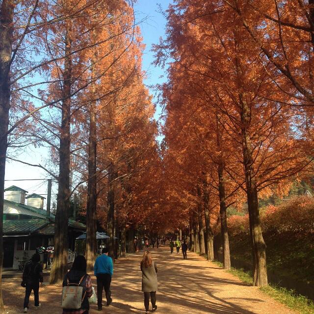 jangkiyong_bt's tweet image. 🍂