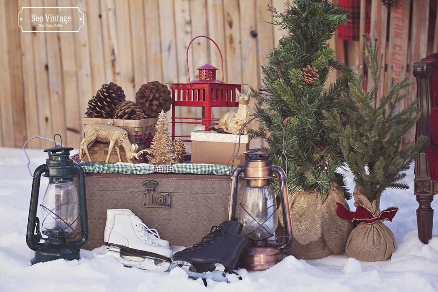 BeeVintageYYC's tweet photo. Calgary, it's time to rent beautiful vintage holiday props for your holiday mini-sessions &amp; store window displays! http://t.co/1zJKpwr4lc