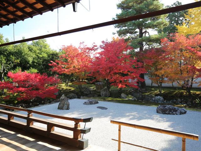 The Kyoto 今日は相国寺に行ってきました 相国寺は 足利 義満によって創建され 天井の狩野光信の蟠龍図は鳴き龍として有名です 特別拝観できる開山堂庭園の紅葉がきれいに色づいています また広々とした境内にも紅葉やイチョウがところどころに見られ The Kyoto 今日は相国寺に行ってきました 相国寺は 足利 義満によって創建され 天井の狩野光信の蟠龍図は鳴き龍として有名です 特別拝観できる開山堂庭園の紅葉がきれいに色づいています また広々とした境内にも紅葉やイチョウがところどころに見られ