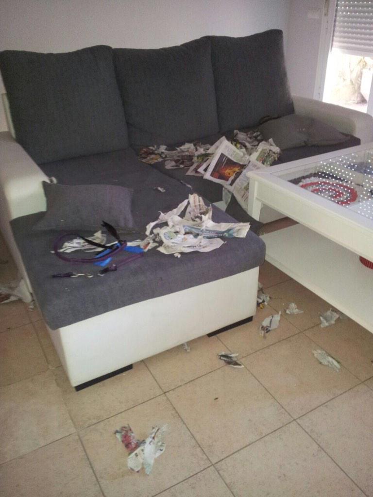 sergioputilla's tweet photo. Y parecía buena http://t.co/2bZiEz5ULL