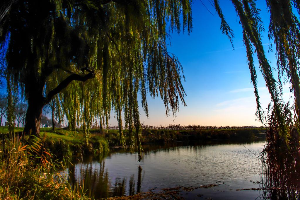 Wat is de hoeksche waard toch mooi. <a href="/hoekschewaardnl/">hoekschewaard.nl</a> <a href="/HW_natuur/">Hoekschewaard natuur</a> <a href="/hoekschewaardwp/">Hoeksche Waard</a>