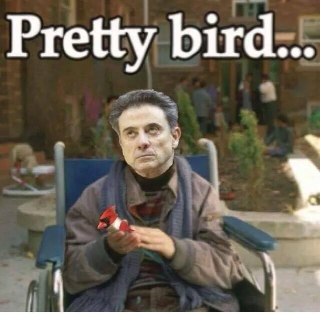 Kywild1's tweet photo. Friday funnies!!! 😂😂😂 #BBN #AllCatsEverything #DirtyCards http://t.co/l26FLPu8LH