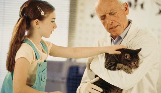 Bill_Badbody's tweet photo. Scientists Finally Prove That ‘She’ Is Not The Cat’s Mother http://t.co/tPbTTpnO88 #news #ireland #cats http://t.co/PrvNaLOCa7