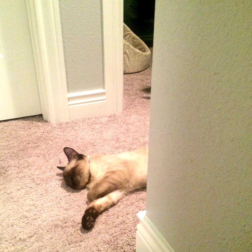 Embedded image permalink