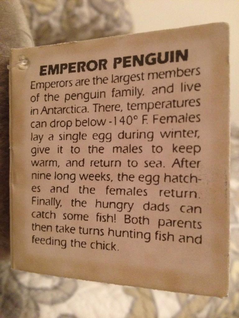 areynolds67's tweet image. “@JennytheM: @Adsthepoet @areynolds67 🐧+🐧=🐧🐧🐧 http://t.co/uK8j8InnFh”have my own real life male emperor penguin at home @danreyns #shareload