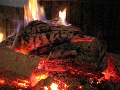 Coldtraila tweet media