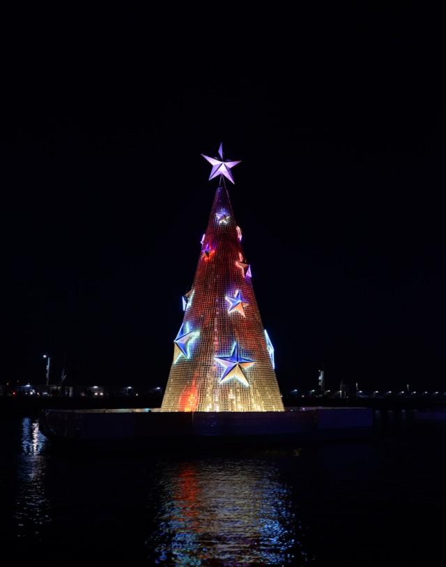 Geelong_Mayor's tweet image. WOW the Christmas tree has lit the sky! AMAZING! @DarrynLyons