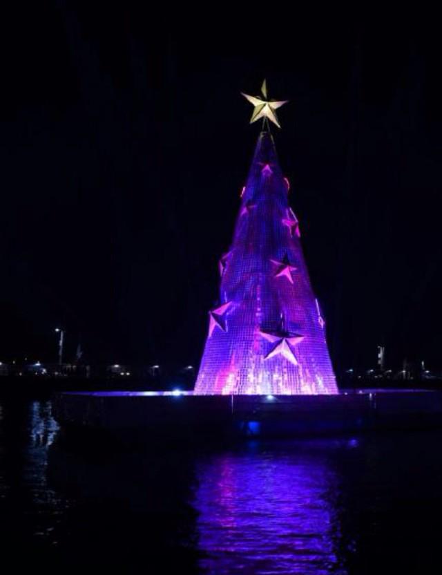 Geelong_Mayor's tweet image. WOW the Christmas tree has lit the sky! AMAZING! @DarrynLyons