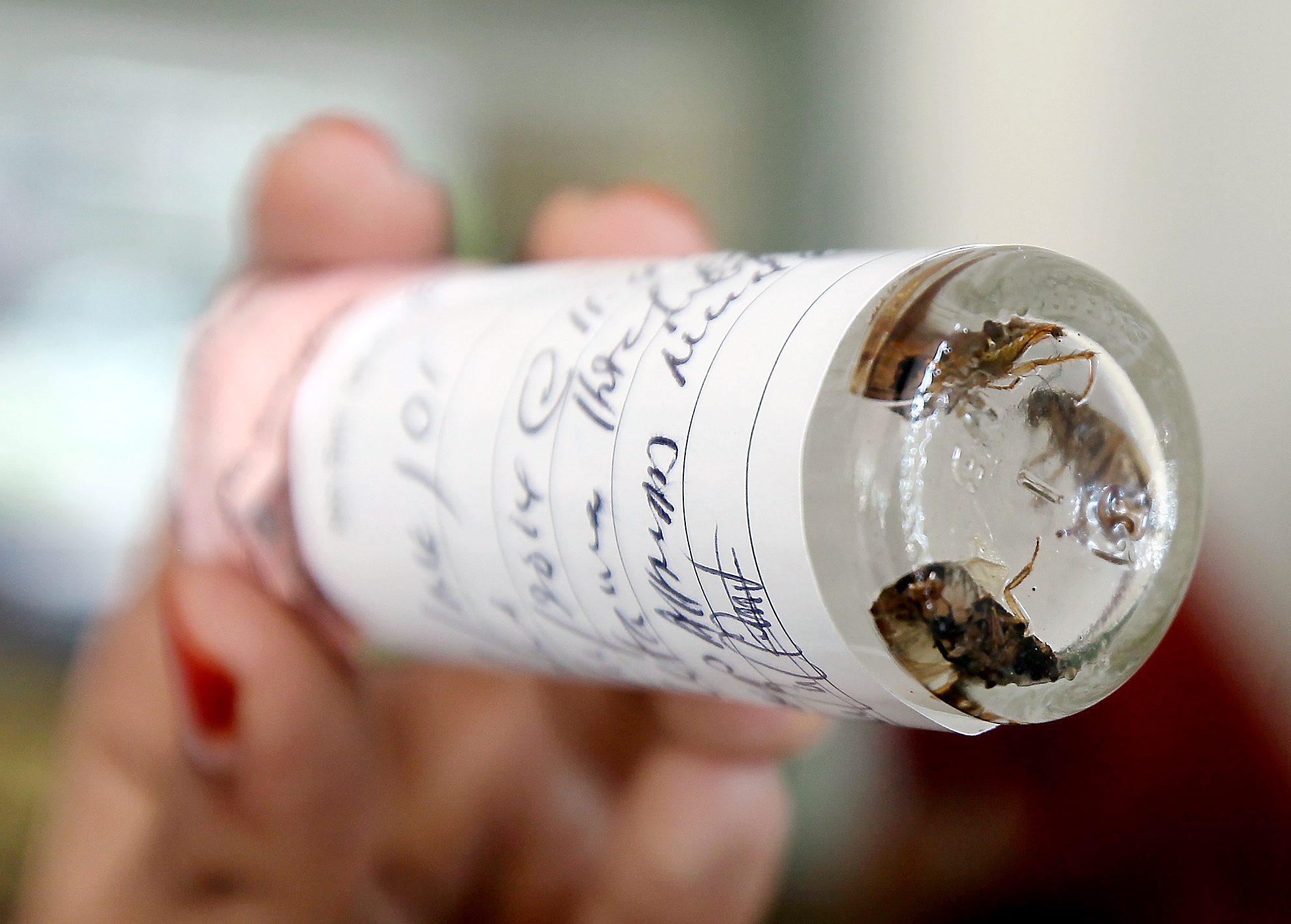 Embedded image permalink