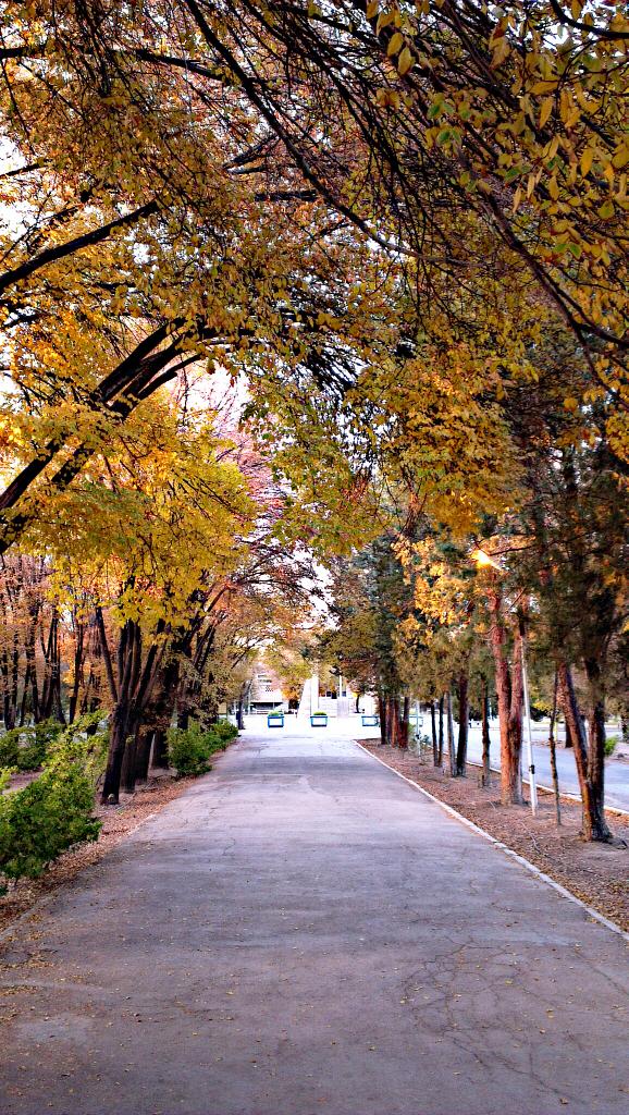 AminnHh's tweet photo. ای��جا جاییه که وقتی واردش میشی مدهوووش میشی و کلا فاز درس میپره و فازت عوض میشه...میفهمید که چی میگم؟؟
#دانشگاهم http://t.co/Dov8b0OQQz