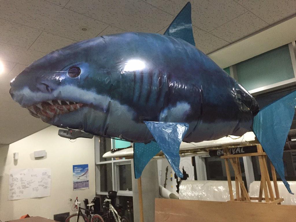 Blackargentavis's tweet photo. 하늘을 나는 물고기 ㅎ http://t.co/7nNtLi8HVD