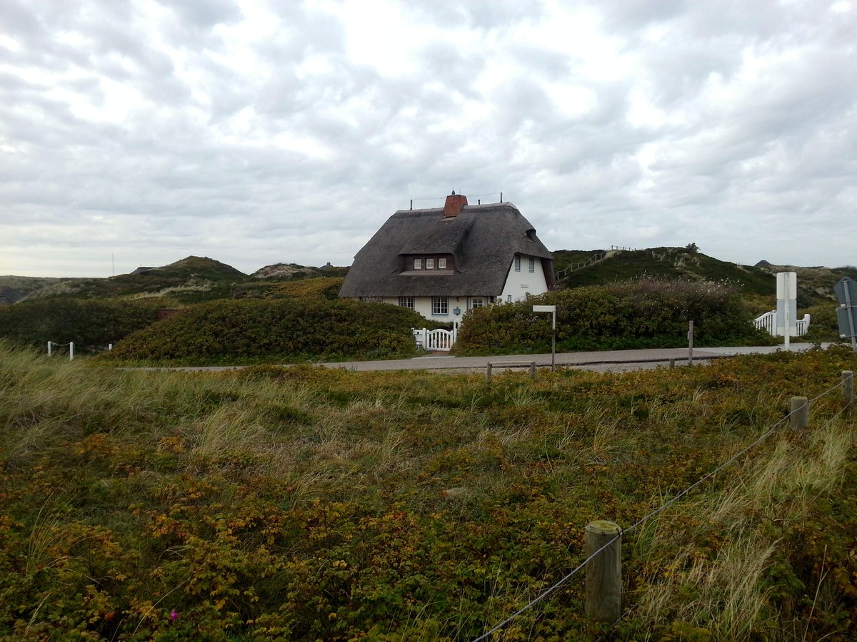 Traumhaft, wie die Häuser auf #Sylt liegen. Wie wär's mit einem #Urlaub in einem #Ferienhaus? Foto: Caroline Kratkey