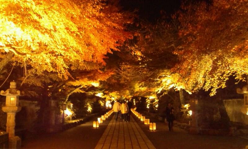 ひより 滋賀 石山寺の紅葉ライトアップ 燃えるような紅葉がどこもかしこもめちゃめちゃ綺麗でした ﾟ ﾟ おススメー 京阪 石山寺駅から徒歩10分 ライトアップは 30迄です Http T Co Fsyqjxqnko Twitter