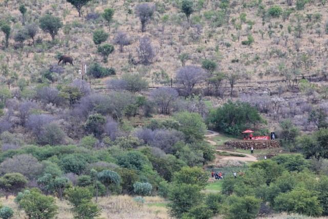 theplayerevents's tweet photo. Can you spot the Big Five animal taking in the day's action at #GPI2014? Such a beautiful venue here at @golfatsun. http://t.co/ENQZsI43U8