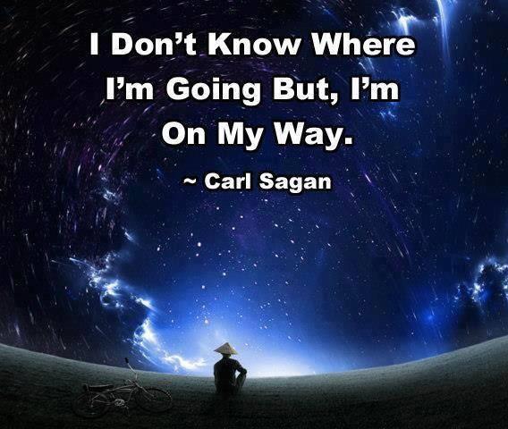 Happy Birthday Carl Sagan 