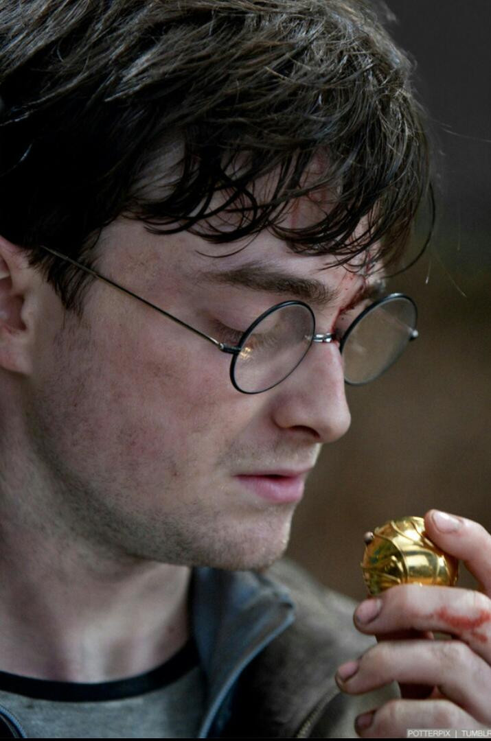 Harry Potter Catches the Snitch