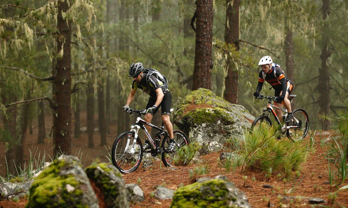 afinitrip's tweet photo. #ElArcaDeTwitter #PymesUnidas #afinitrip #tmp117 ROUTEANDO por #GranCanaria con TOC! MAGAZINE http://t.co/xcB6LRw3UE http://t.co/zzhzcsW8Lk