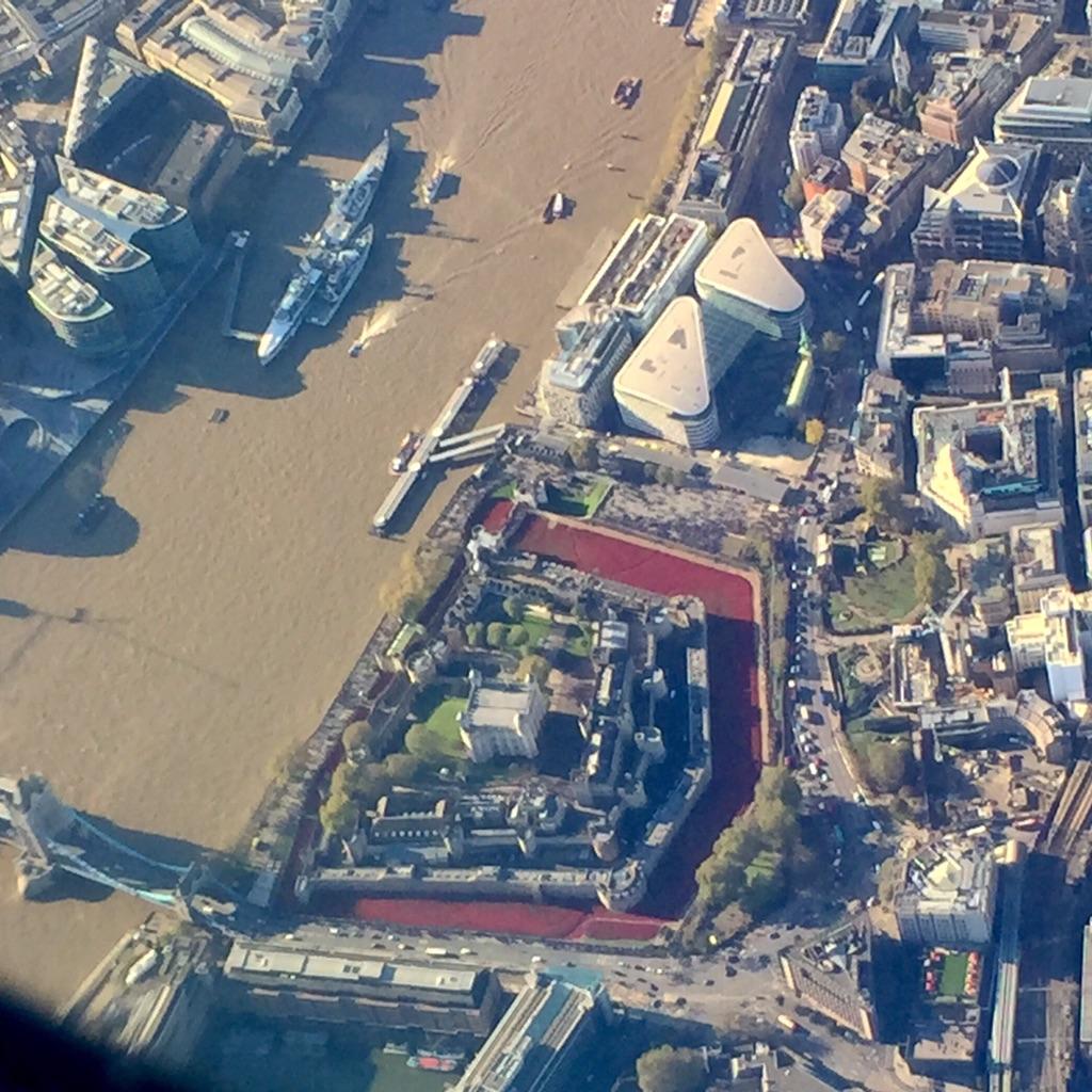 ollymurs's tweet image. What a view from the sky!! The Tower of London poppies #RemembranceSunday