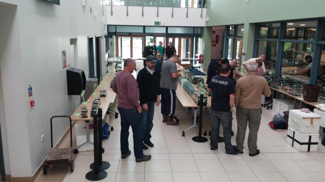 BfdAquarists's tweet photo. The fish are almost ready for the judging panel #fishkeeping #tropicalfish #aquarists http://t.co/sA6lA16oAD