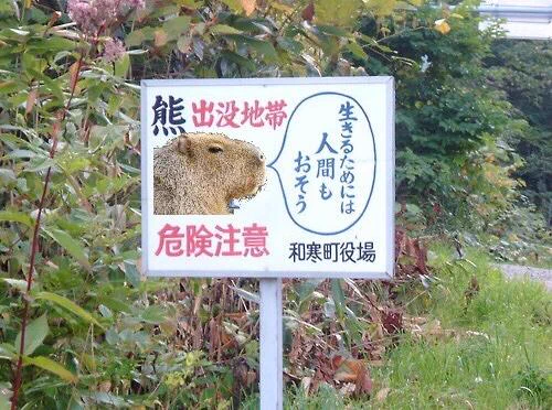 あんまり説得力を感じないクマ出没注意画像ｗｗｗ