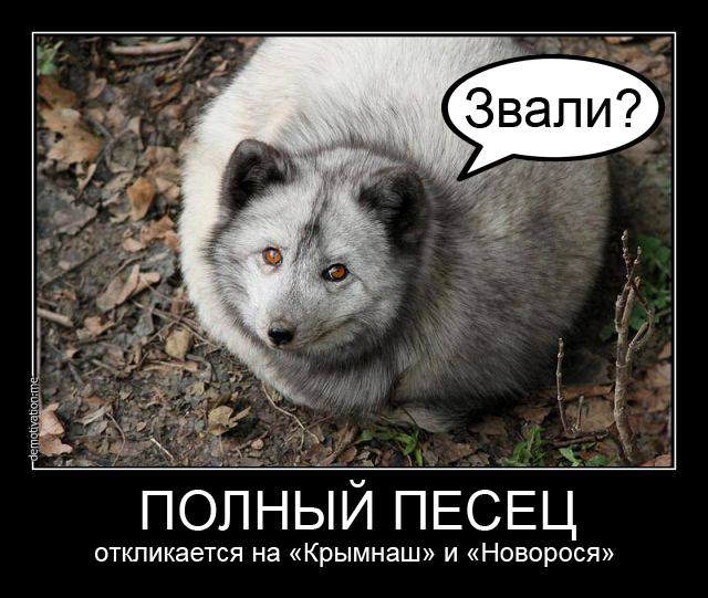ЕС должен ужесточить санкции против России, - глава МИД Литвы - Цензор.НЕТ 9844