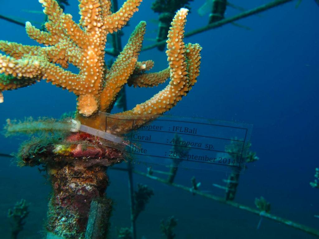 Terima kasih untuk @EHDenpasar atas hadiahnya untuk <a href="/IFLBali/">IFL Bali</a> semoga kita terus dapat berkolaborAKSI :))