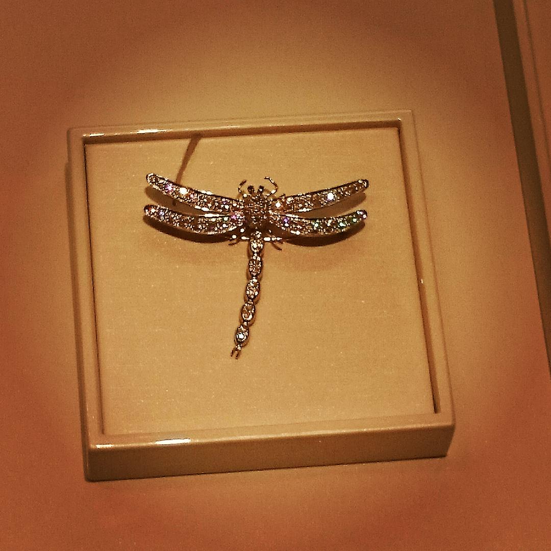 AliMcNamara's tweet photo. Gorgeous! #DragonflyTrust
RT @KayyG91: @AliMcNamara look what I saw in Tiffany's!!! π http://t.co/aX0tqB95AQ