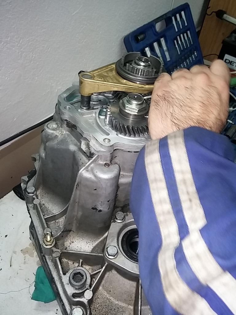 Probar suerte el proximo finde semana...#rallyderiolobos