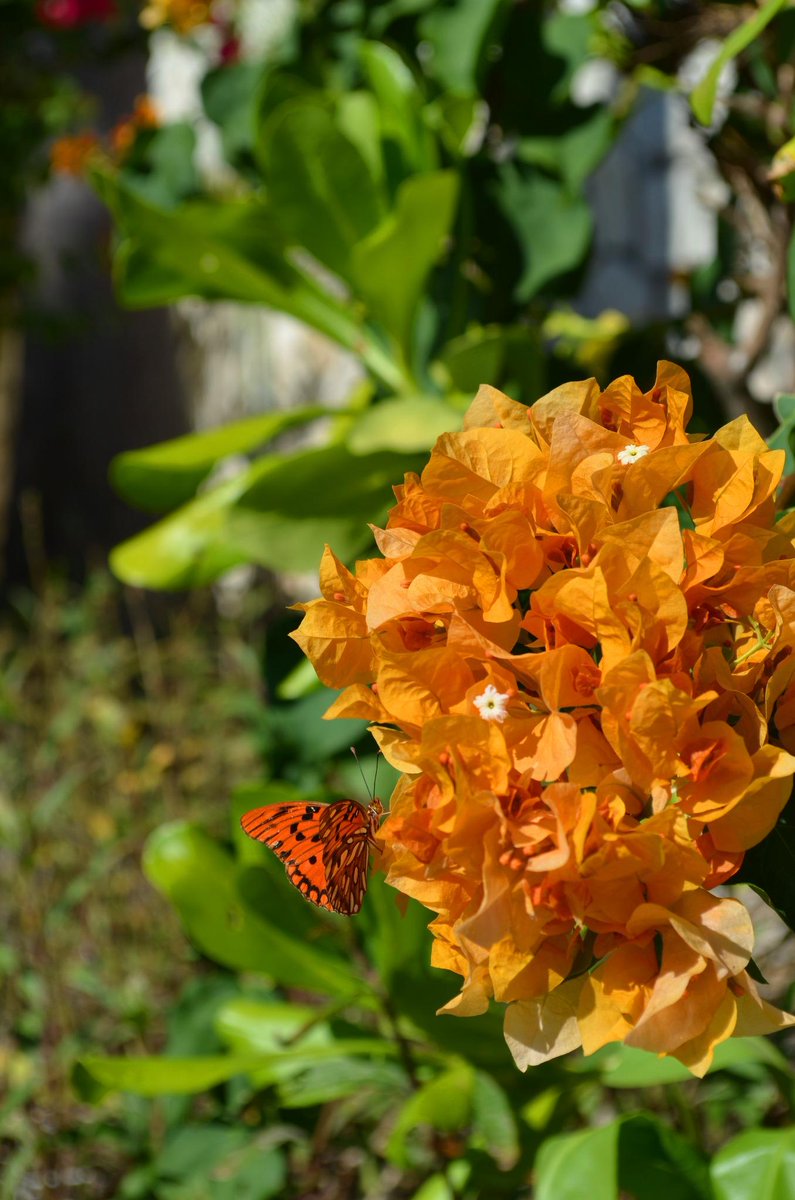 It's another #beautifulday in #turksandcaicos
Time to #relax &amp; soak up the sun
Happy Sunday Everyone! #beach #holiday