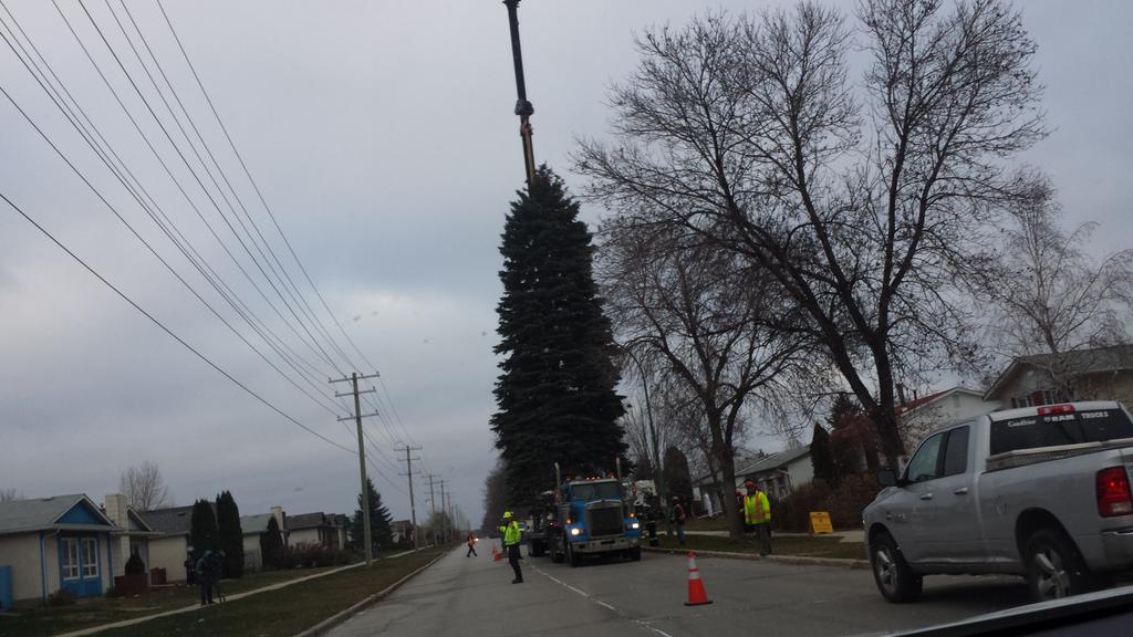 bwarren0808's tweet photo. #winnipeg has its Christmas tree http://t.co/FZdACClPoq