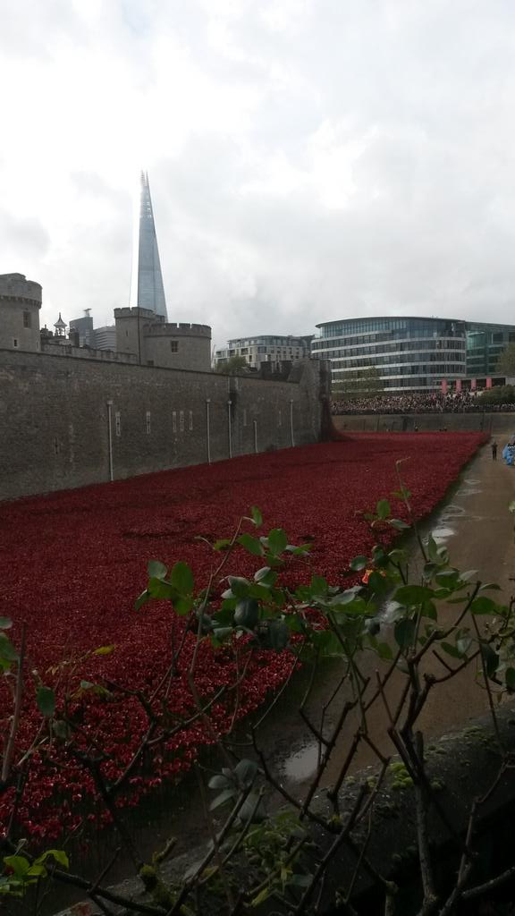 MelB2685's tweet photo. Moving site at the Tower of London. Each ceramic poppy stands for a fallen soldier of WW1 #overwhelming #emotional http://t.co/CJjbdJl6jK
