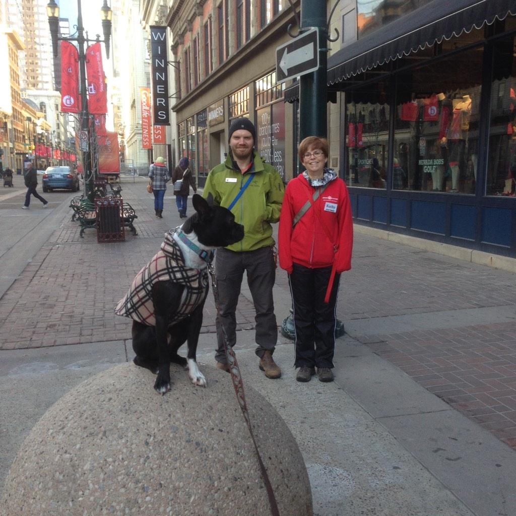 JanoHansen's tweet photo. So proud of Axel! 9 weeks of #cccore and he sits with a snap and walks with a loose leash. Thanks @CleverCanines http://t.co/tUZiJNTwM1