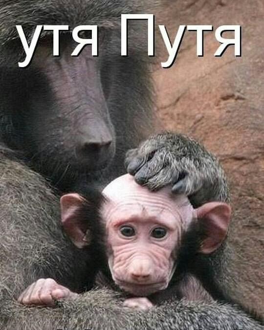 С начала люстрации по закону уволены 354 чиновника, - Петренко - Цензор.НЕТ 8992