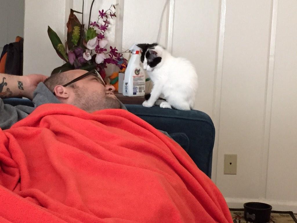catnamedjane's tweet photo. Meowy birthday to @drew! He's the best daddy ever!! xx http://t.co/y1a422AyAd