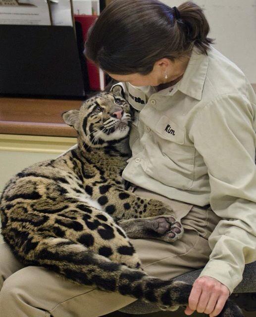 CommonBrownGirl's tweet photo. Cuddling up to bae like http://t.co/D3tvQd6mya