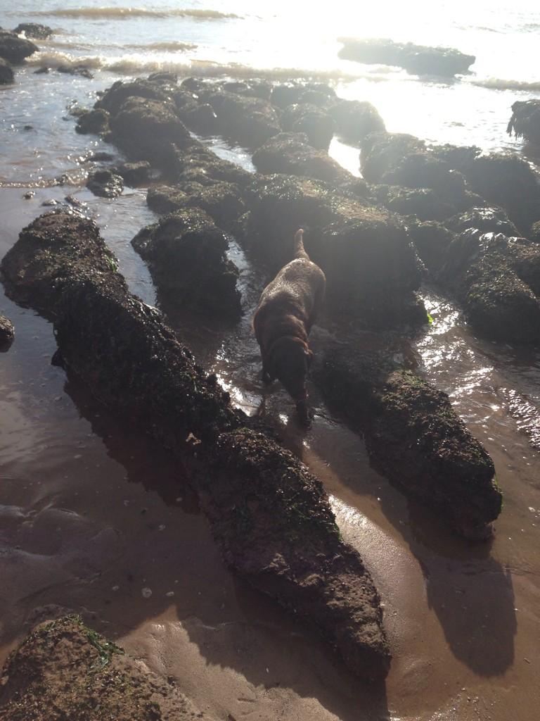 DVD4CHARITY's tweet image. 