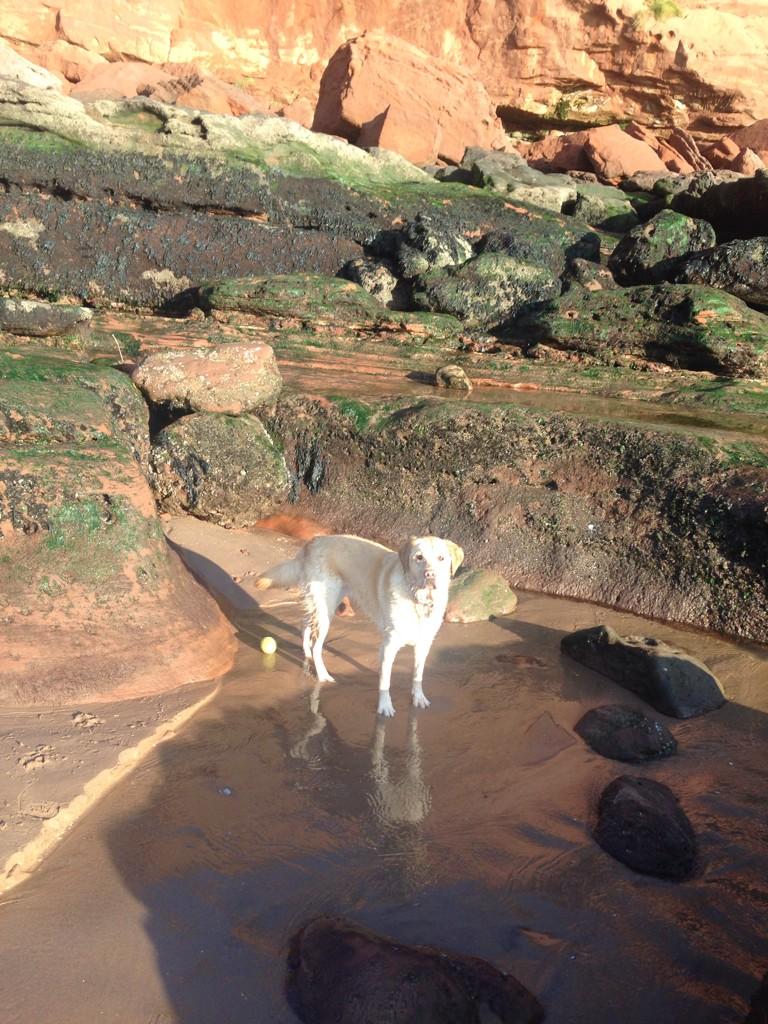 DVD4CHARITY's tweet image. 