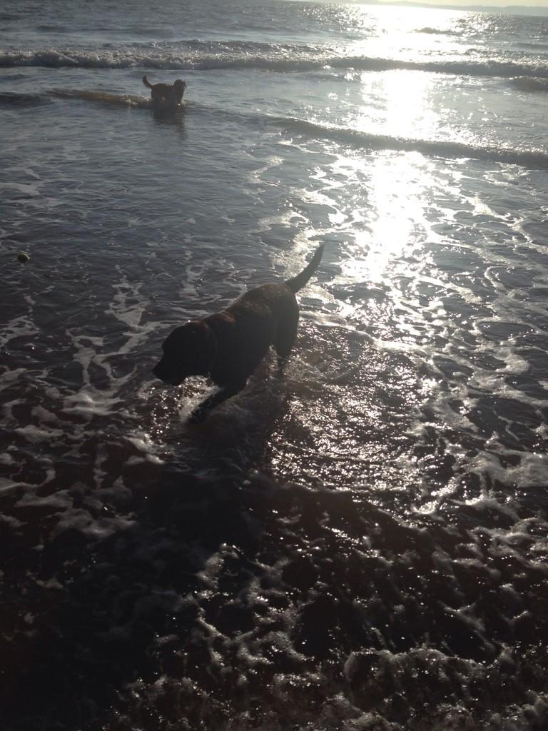 DVD4CHARITY's tweet image. 