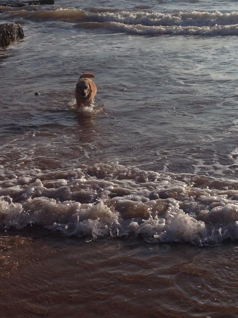 DVD4CHARITY's tweet image. 