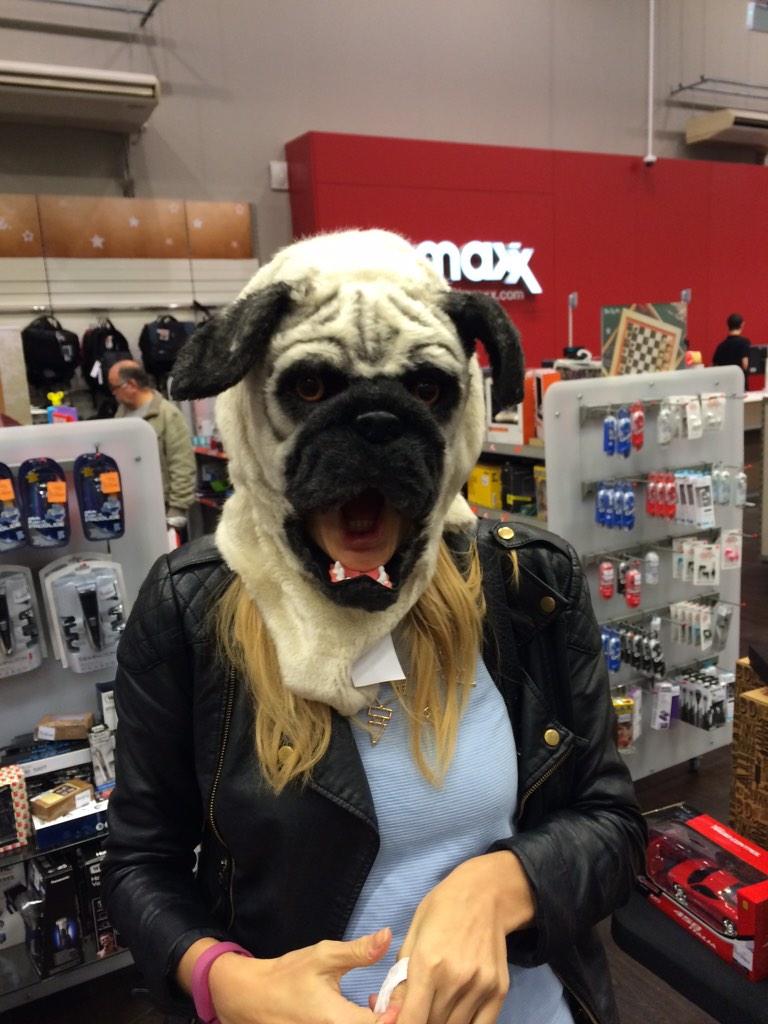 Matcarrington89's tweet photo. Her dream has come true.. Shes turned into a #pug @EmmaParrish http://t.co/7Vk5xnlYlC