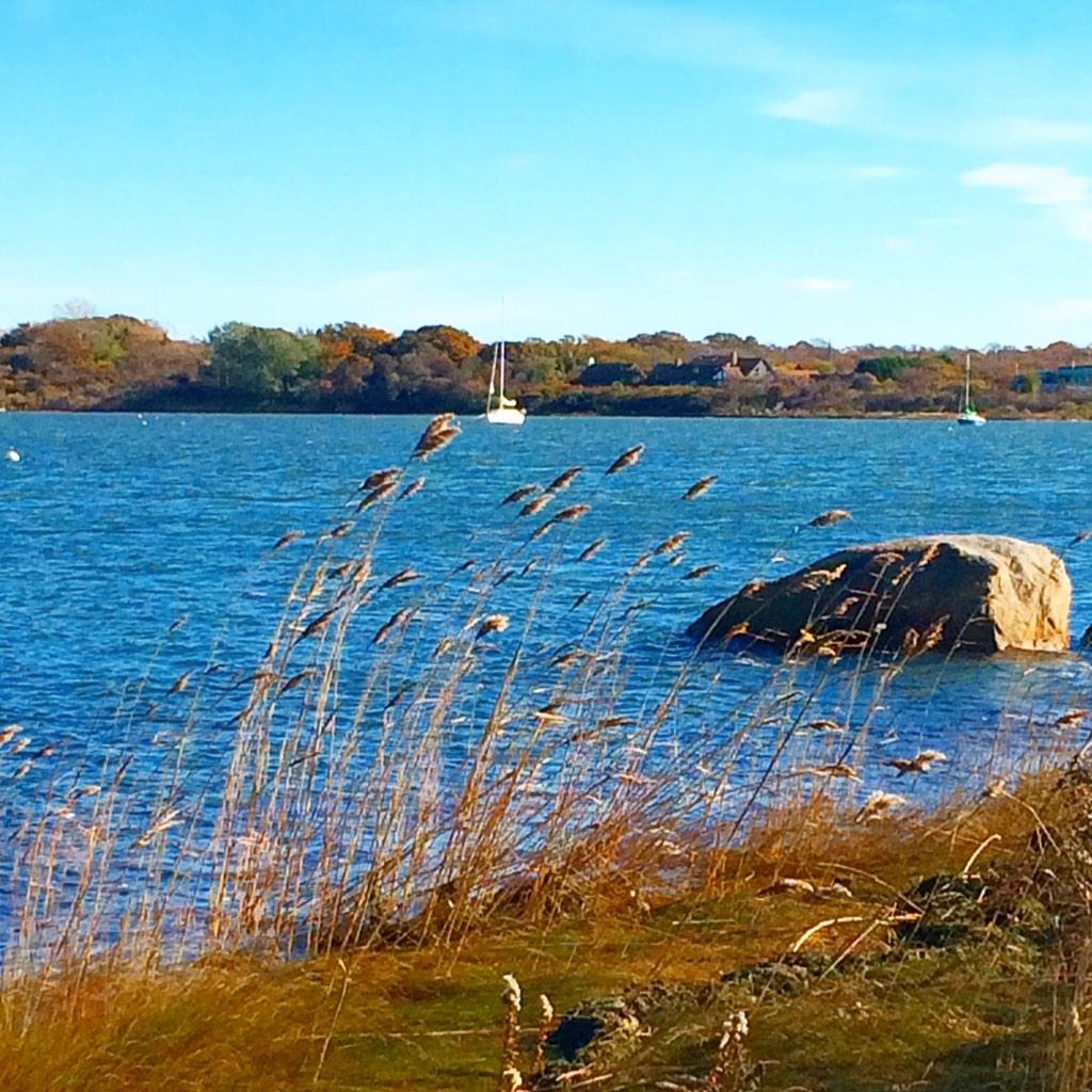 TrueDigs's tweet image. Prime Rental Season