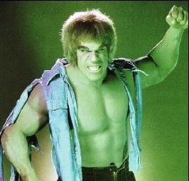   Troy played HULK Season 1Halloween HAPPY BIRTHDAY HULK Lou Ferrigno 