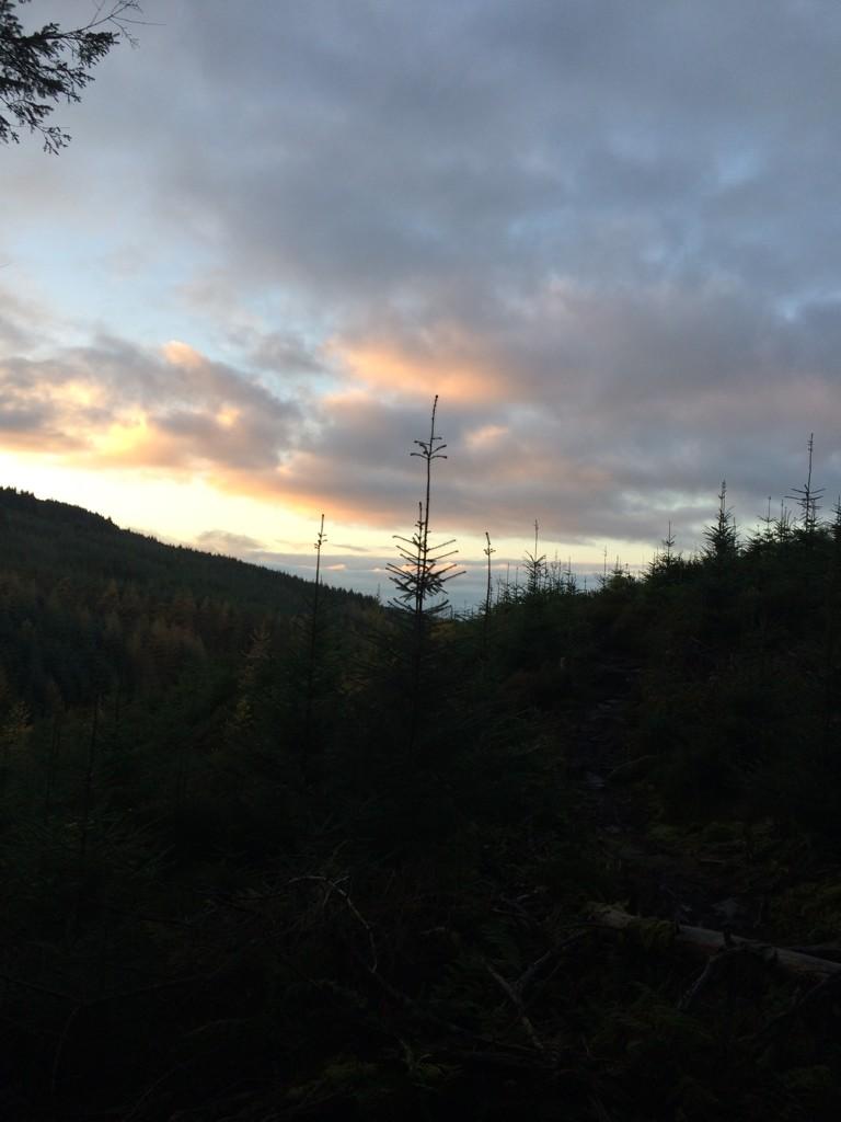 DMochain's tweet photo. Getting the Xmas tree in early http://t.co/z4nBqzHwI3