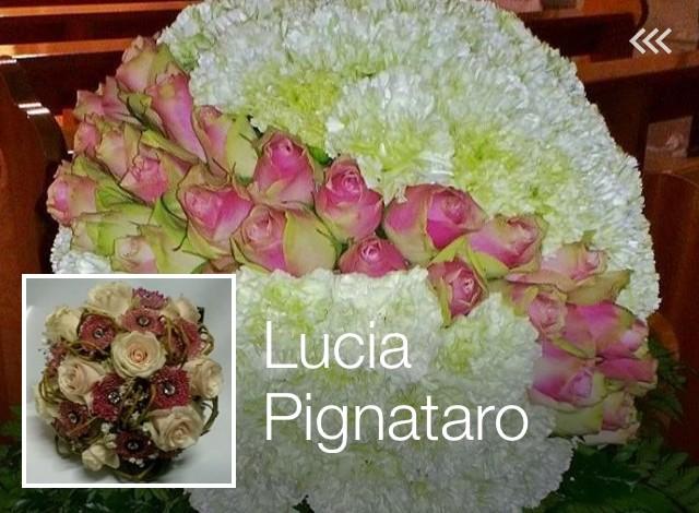 TrecchinaInfo's tweet photo. La #Forraina #oggi di Lucia Pignataro http://t.co/CrDCUfFc0e