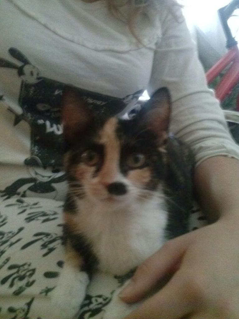 Mariatlineros's tweet photo. Con mi niña http://t.co/VWCyPOAhjz
