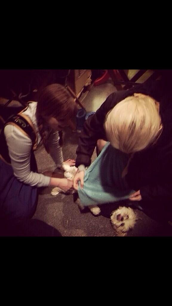 HadToBeSnow's tweet photo. http://t.co/VOxHOVvHPN