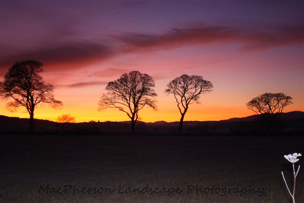 Macpherson Landscape Photography tweet media
