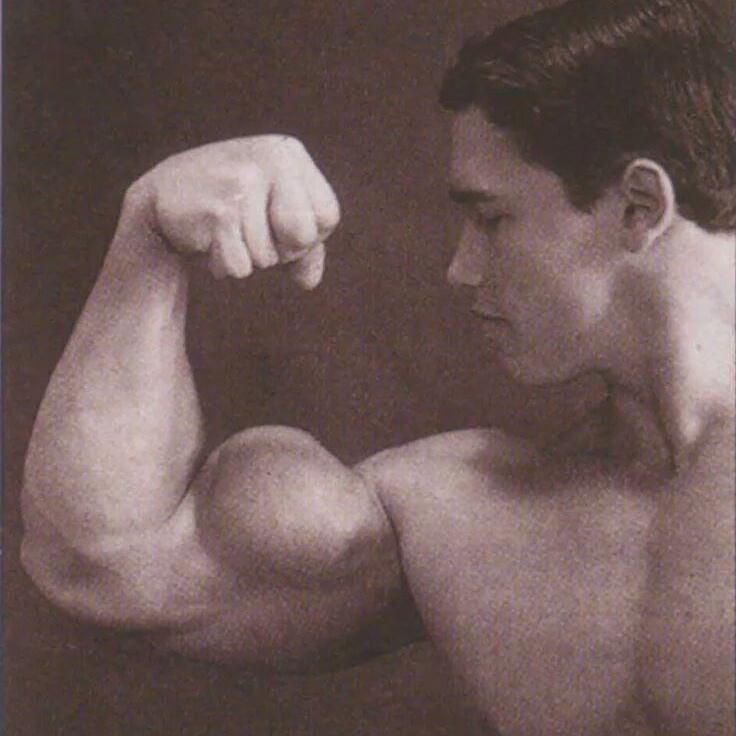 PHernach's tweet photo. #king of #bodybuilding ... #arnoldschwarzenegger http://t.co/H9RgCyvRLd